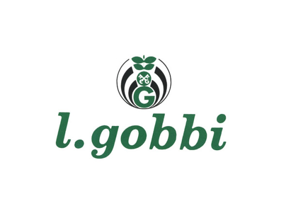 L gobbi srl