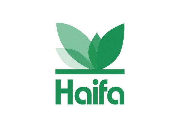 Haifa